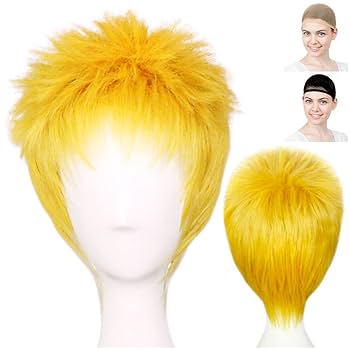 Amazon.co.jp: CaseEden コスプレ ウィッグ コスプレ用ウィッグ